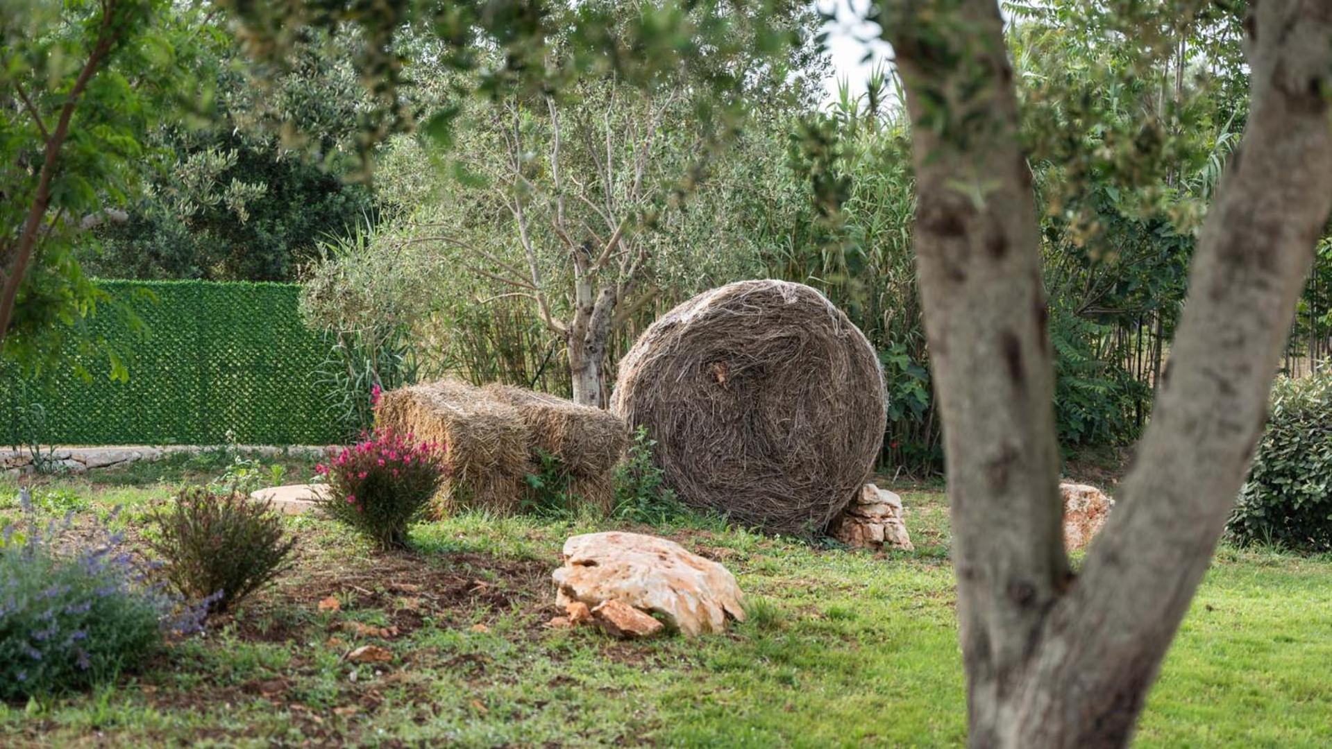Petranima Wellness In Trulli Bed & Breakfast Остуни Екстериор снимка